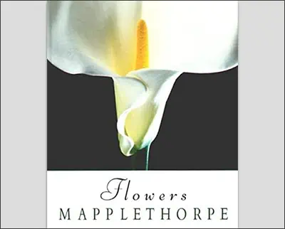 Robert Mapplethorpe: Flowers Hardcover – May 12, 2014by Patti Smith (Author)