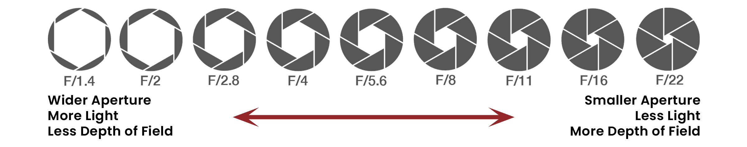A diagram illustrating the various types of lenses used with digital camera sensors.