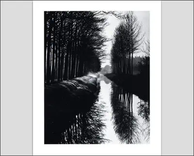 A black and white photo of trees on a canal.