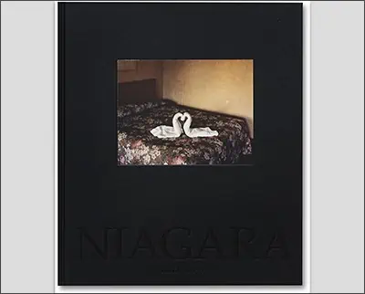 A beautiful black book with two swans on it, inspired by the artistic style of Alec Soth.