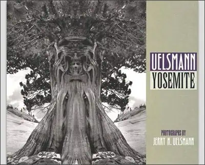 The cover of the book yosemite.