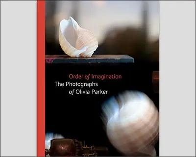 Book cover for "Order of Imagination: The Photographs of Kyle Cassidy" featuring a blurred still life scene with a shell.