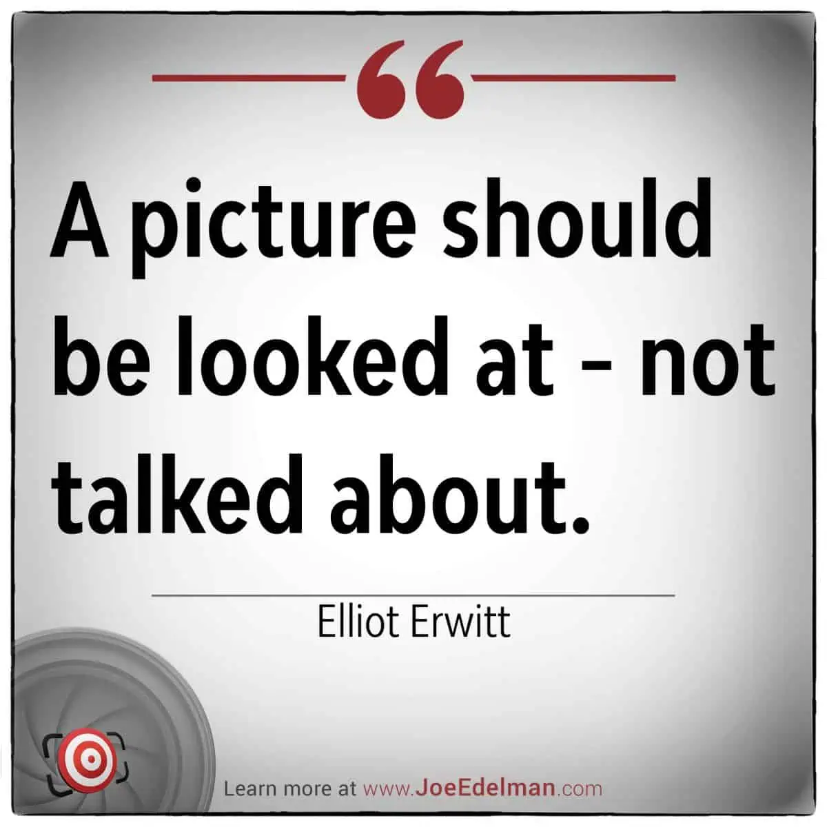 Elliot Erwitt once expressed the idea that "a picture should be looked at - not talked about," emphasizing the power of visual storytelling without words.
