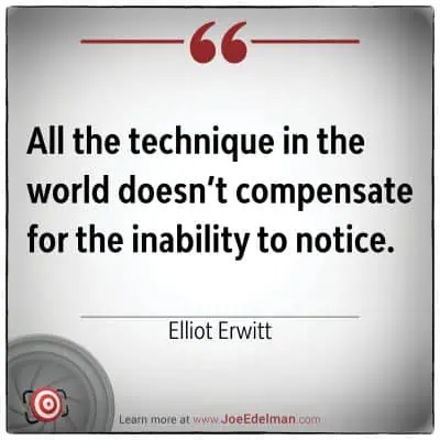 Quote card highlighting Elliot Erwitt: "All the technique in the world doesn’t compensate for the inability to notice.