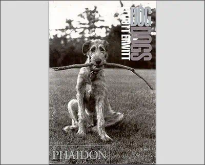 Dog Dogs by Elliott Erwitt (2002) Hardcover