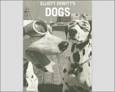 Elliott Erwitt's Dogs