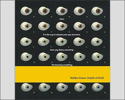 Walker Evans: Depth Of Field Hardcover – Illustrated, by John T. Hill (Author), Heinz Liesbrock (Author)