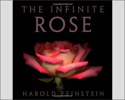 The Infinite Rose Hardcover – January 14, 2004by Harold Feinstein (Author)