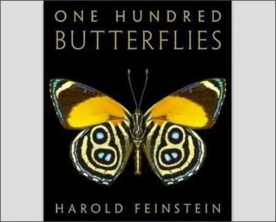 One Hundred Butterflies Hardcover – November 4, 2009by Harold Feinstein (Photographer), Fred Gagnon (Foreword)