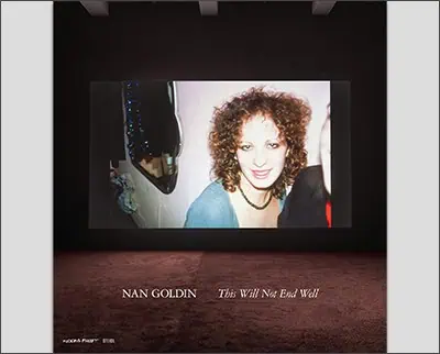Nan Goldin: This Will Not End Well Hardcover – by Teresa Hahr (Editor), Fredrik Liew (Editor), Nan Goldin (Photographer), Eileen Myles (Contributor)