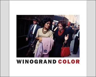 Two women walking and conversing in a city street, one holding a coat, with onlookers in the background and "winogrand color" text at the bottom.