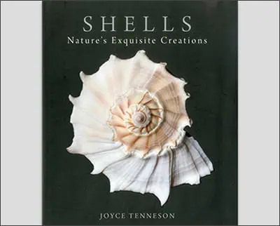 Shells: Nature's Exquisite Creations Hardcover – November 16, 2011by Joyce Tenneson (Author)