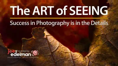 A close-up of a leaf with detailed textures. Text overlay reads, "The Art of Seeing - Success in Photography is in the Details," presented by Joe Edelman, photographer and photo educator.