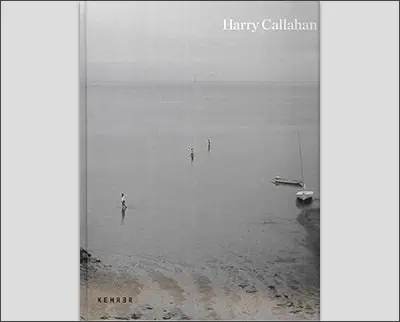 Harry Callahan: Retrospective Hardcover – July 2, 2013by Dirk Luckow (Editor), Sabine Schnakenberg (Editor), Harry Callahan (Photographer)