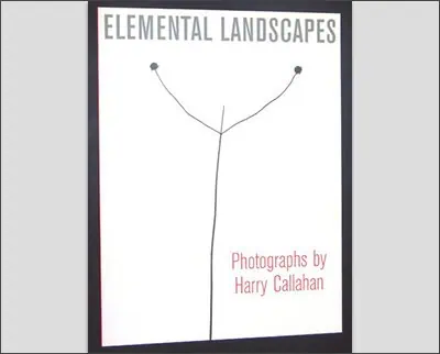 Elemental Landscapes: Photographs By Harry Callahan Paperback – July 15, 2001by Katherine Ware (Author), Anne d'Harnoncourt (Author), Harry Callahan (Photographer)