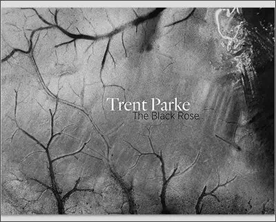 Cover of "The Black Rose" by Trent Parke, featuring an abstract black-and-white image reminiscent of David Alan Harvey's style, with tree branches against a textured background.