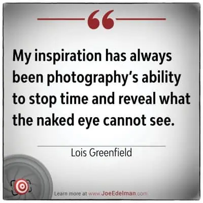 My inspiration has always been photography's ability to stop time and reveal what the naked eye cannot see.- Lois Greenfield