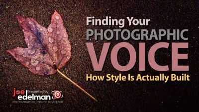 A wet autumn leaf on dark ground with the text: “Finding Your Photographic Voice: How Style Is Actually Built. A photography presentation by Joe Edelman, Photographer / Photo Educator.”.