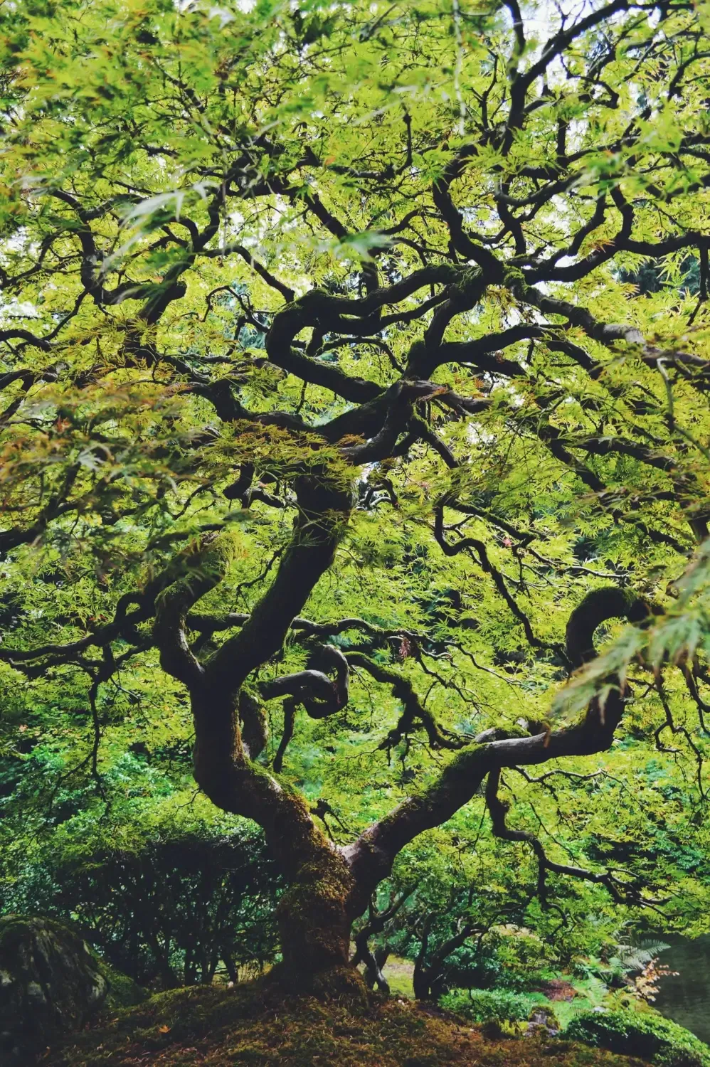 blog3