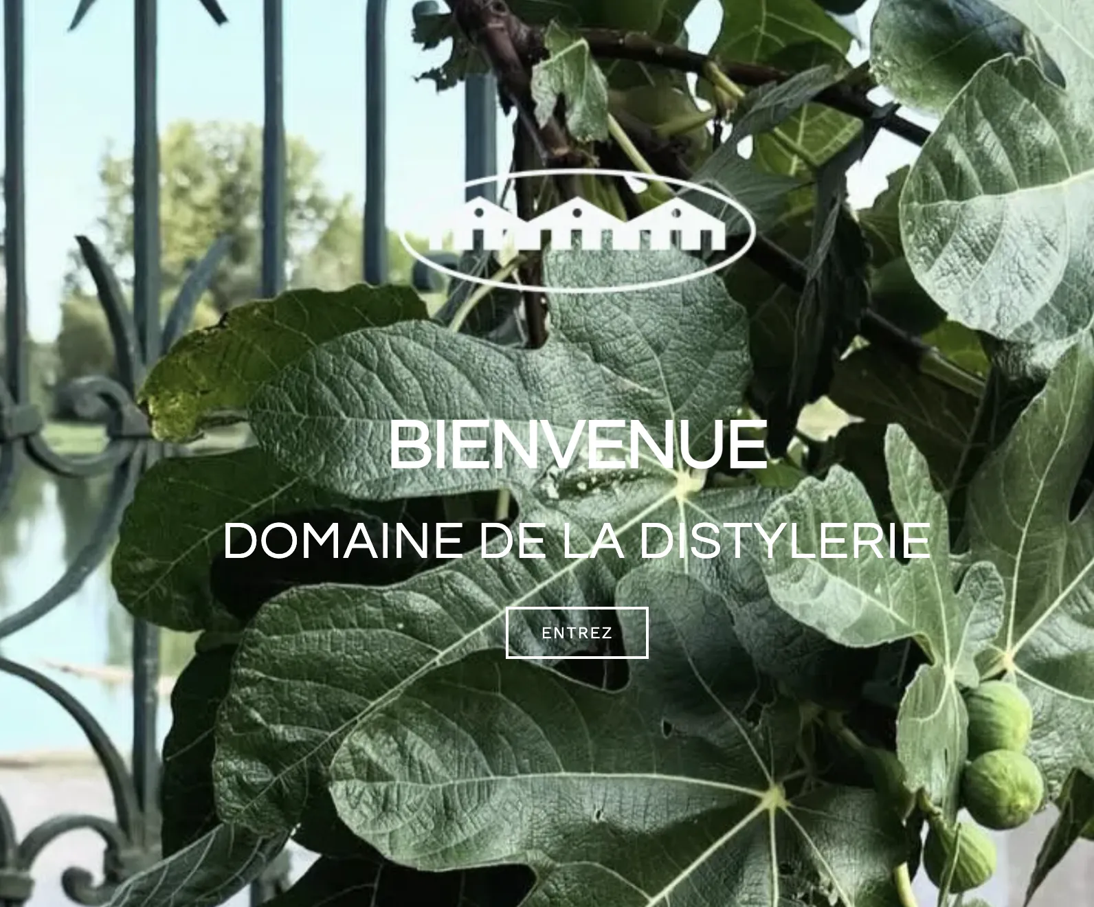 La Distylerie de Fleurville