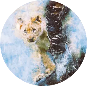 Zvedavé levíča