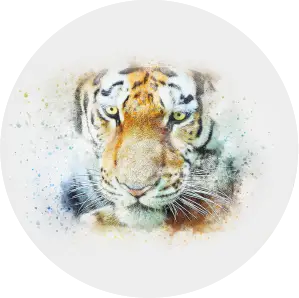 Portrét tigra