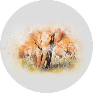 Maľované slony