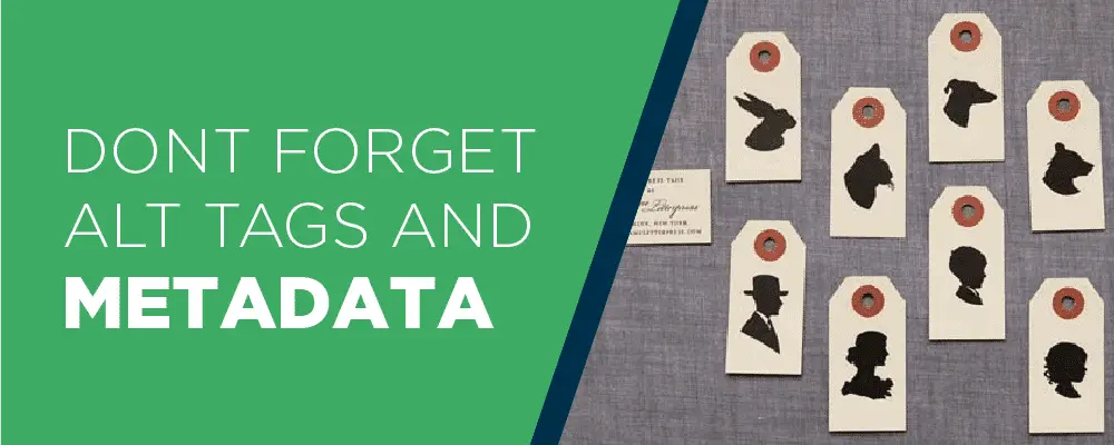 ALT TAGS AND META DATA MUST NOT BE FORGOTTEN ALT TAGS AND META DATA MUST NOT BE FORGOTTEN
