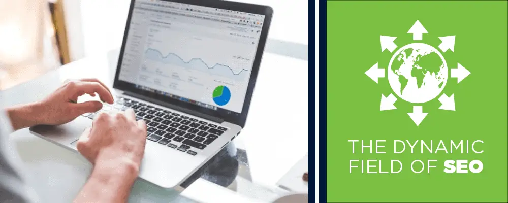 the dynamic field of SEO the dynamic field of SEO