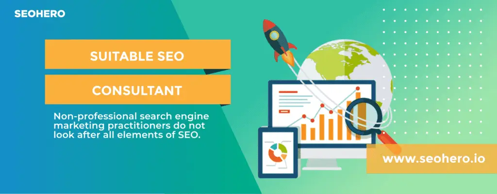 what is a suitable seo consultant