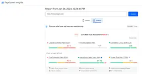 SEO for Niche Markets: Tailoring Your Strategy to Reach Your Target Audience 8 Failed Google PageSpeed Insights test