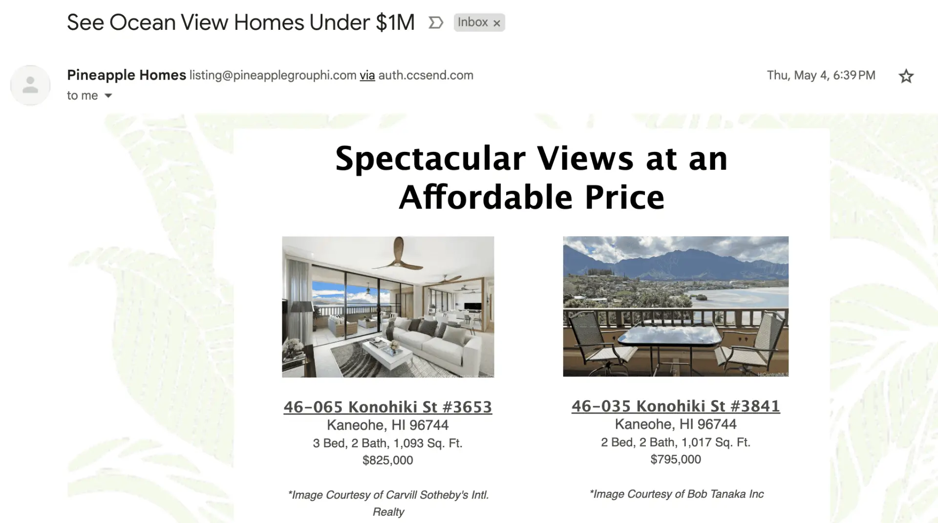 How to Improve Email Deliverability 5 Example of a real estate listing email for Hawaii.