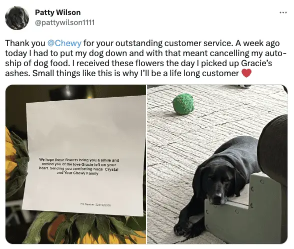 Dealing With Bad Online Store Reviews? 5 Ways to Turn Them Into Advantages 5 Chewy delivery flowers to customer.