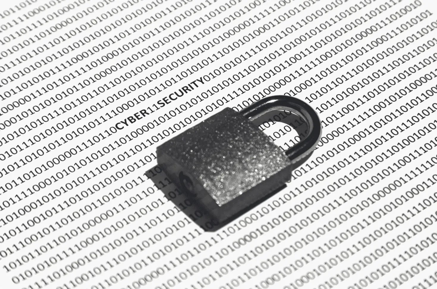 First Party Data and Privacy Safe Tactics for Modern SEO 1 word image 49944 1