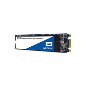 Genuine WD Blue M.2 250GB SSD WDS250G2B0B