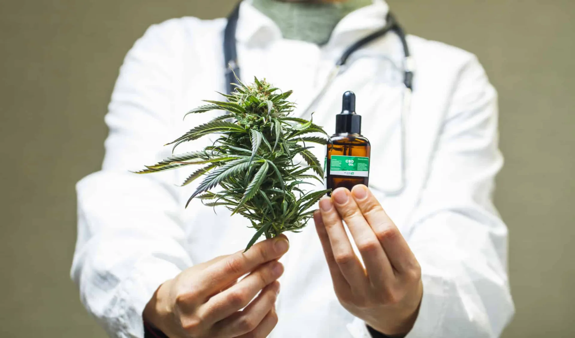 doctor hand hold and offer to patient medical marijuana and oil. Cannabis recipe for personal use, legal light drugs prescribe, alternative remedy or medication,medicine concept