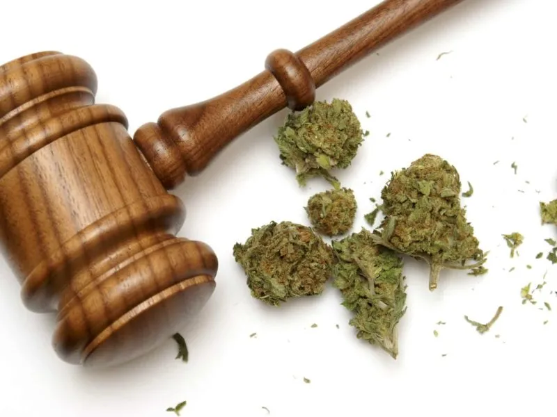 Marijuana and a gavel together for many legal concepts on the drug.