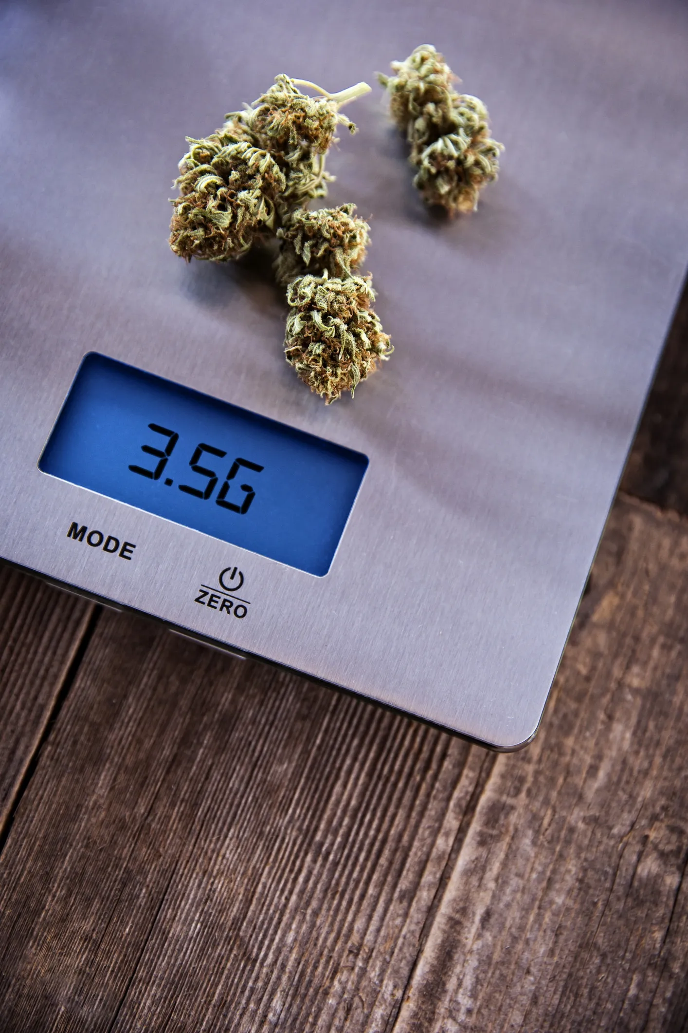A scale with marijuana buds on top of it