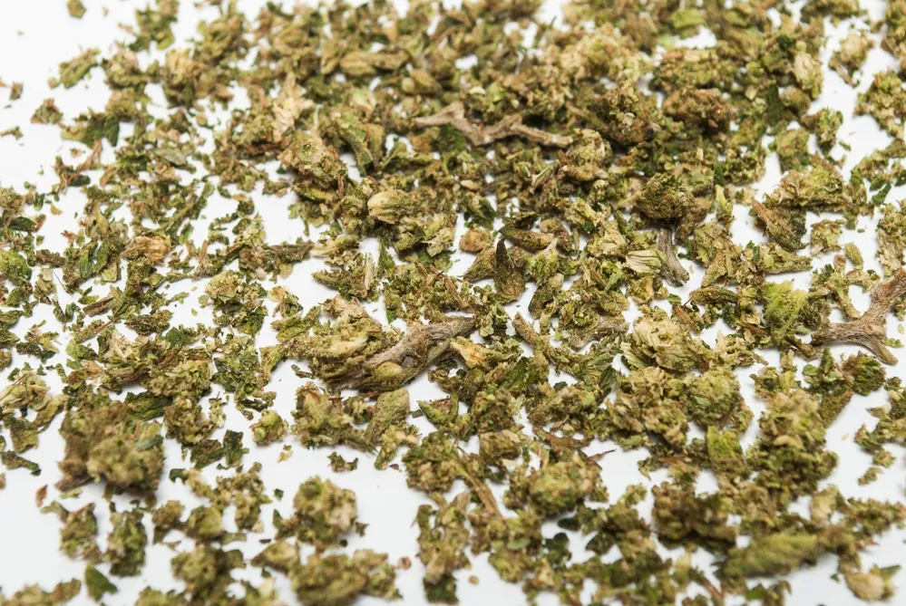 A pile of dried weeds on a white surface
