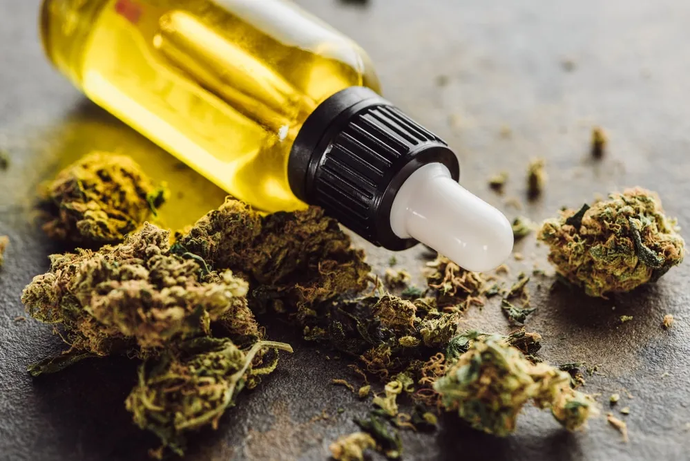 Close up view of medical marijuana buds near bottle with hemp oil on marble surface