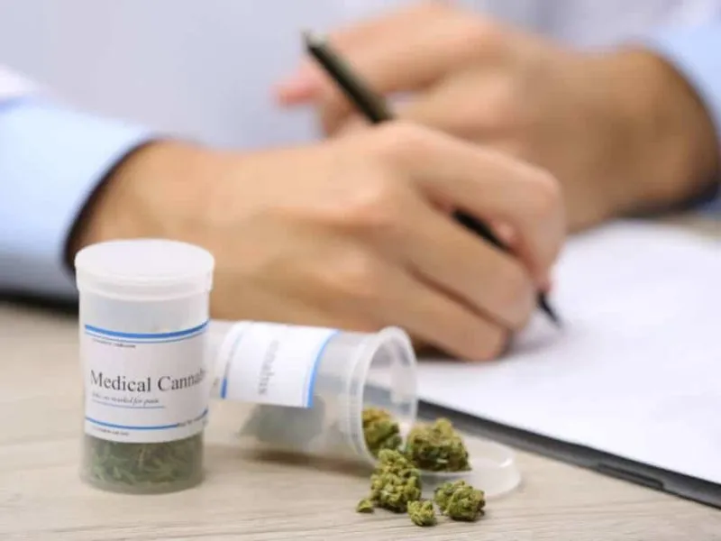 Professional prescribing medical marijuana