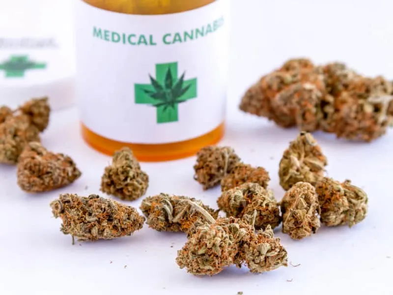 medical-marijuana-buds-and-seed