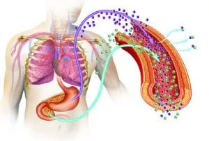 Types of diabetes