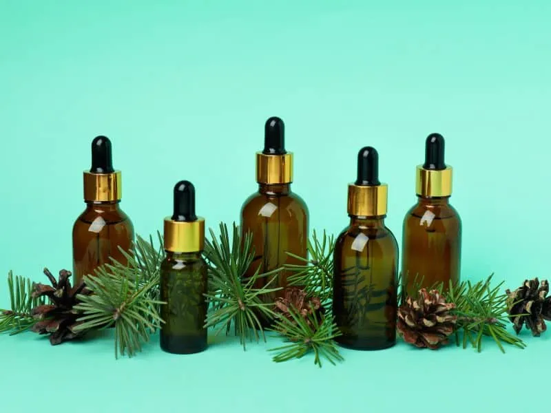 Aromatherapy concept with pine oil on mint background