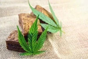 cannabis-hash-brownies-on-hemp-cloth-cbd-infused-e-2023-11-27-05-27-02-utc