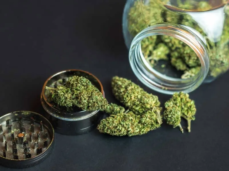 cannabis flower buds on container