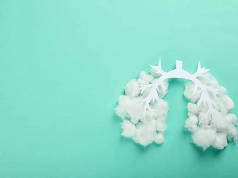 Concept of allergy, lungs on mint background