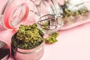 A close-up of a grinder with green cannabis buds on top, next to an open glass jar filled with more buds on a pink background.