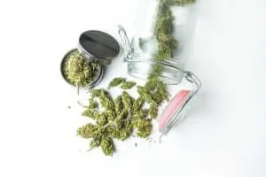 A glass jar spills green cannabis buds and trimmings onto a white surface, beside a partially opened metal grinder.