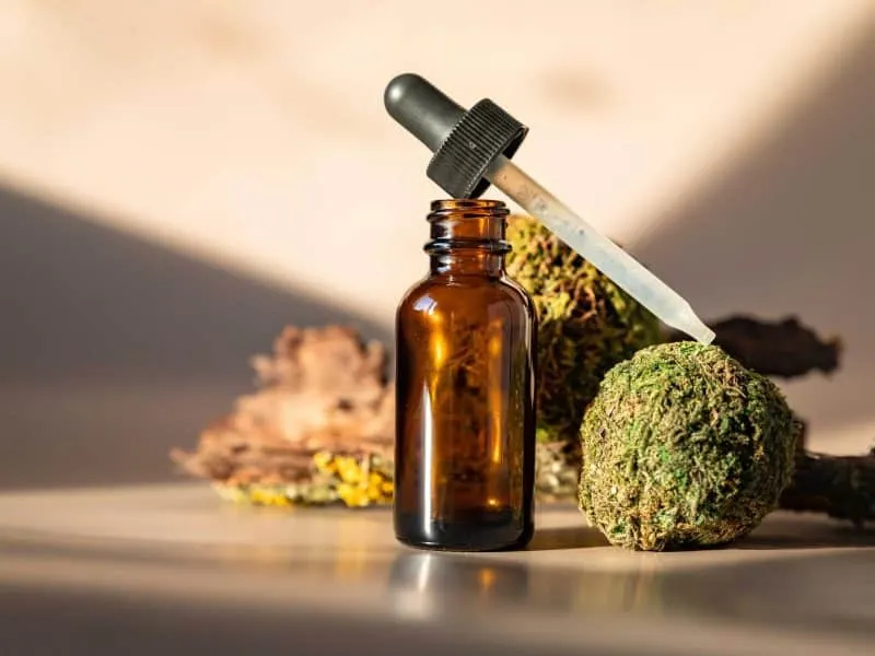 Amber glass bottle with a dropper cap, resting beside textured green moss spheres and rustic wood pieces, lit by soft natural light.